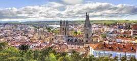 Hoteles que admiten mascotas en Burgos
