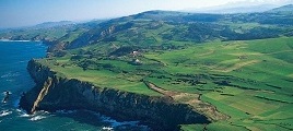Hoteles que admiten mascotas en Cantabria
